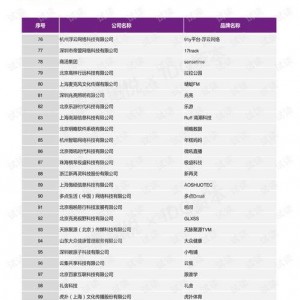国产56页,揭秘中国自主研发的先进技术