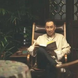 国产剧情视频,情感纠葛与时代变迁的交织